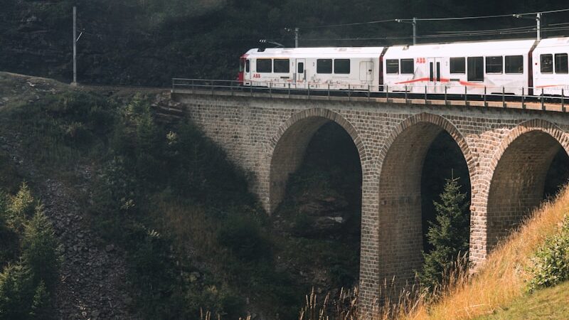 Swiss Travel Pass ou Half Fare Card : lequel choisir ?