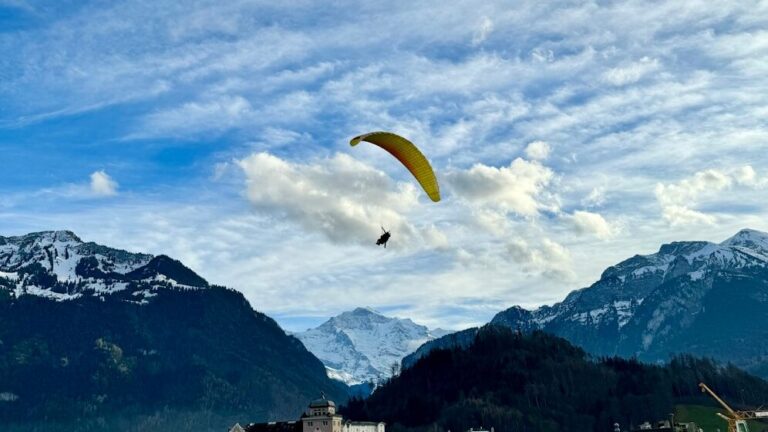 Parapente devant des montagnes enneigées et un ciel nuageux.